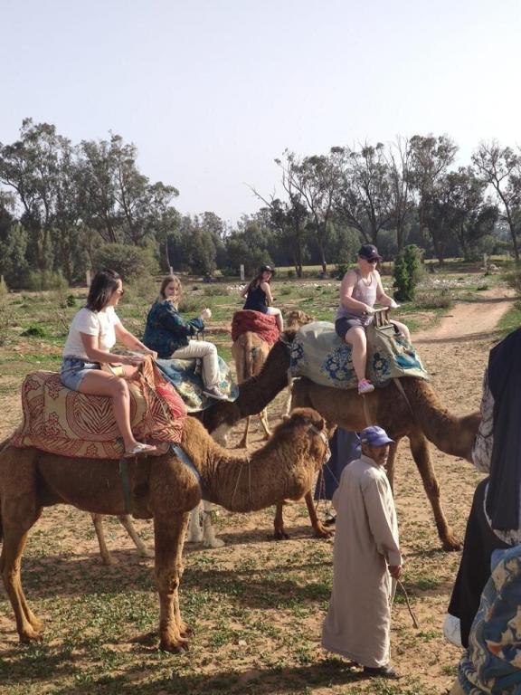 Camel riding 2 hours