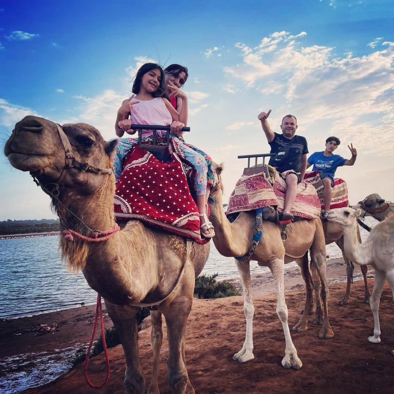 Camel riding 2 hours